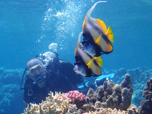Family learn to scuba dive vacations, Egypt