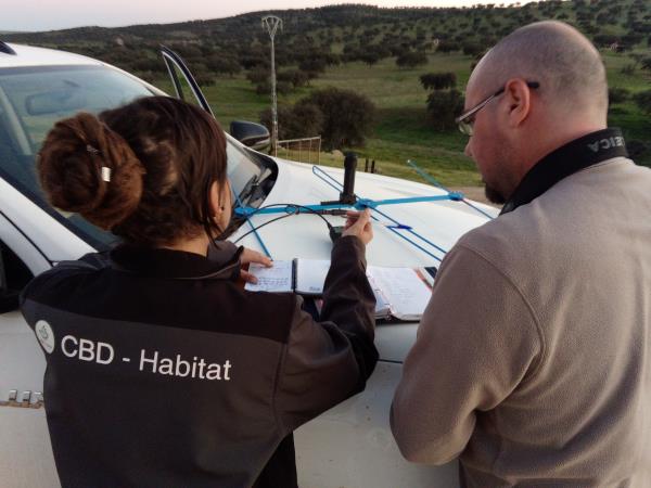 Iberian Lynx and wildlife vacation in Southern Spain