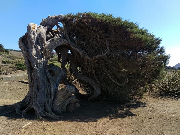 Canary islands small group tour