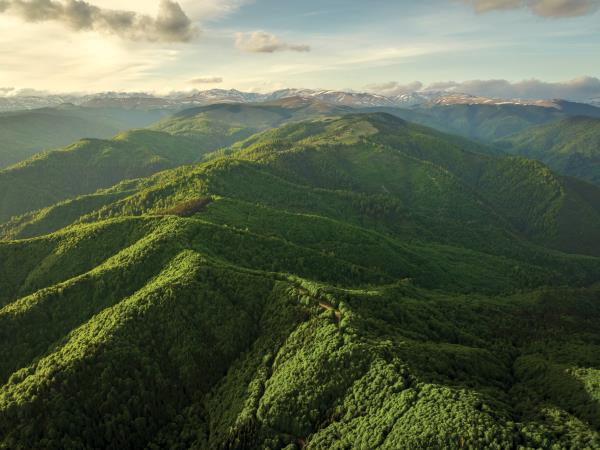 Carpathians wildlife adventure  vacation, Romania