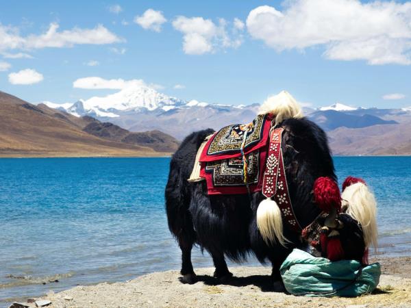 Lhasa to Everest Base Camp tour in Tibet