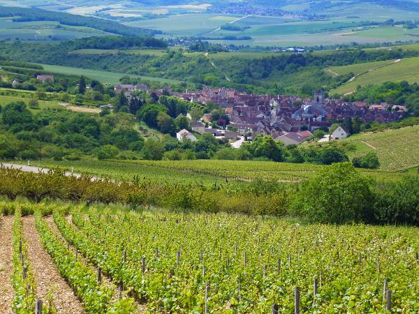The wine villages of the Burgundy hiking vacation