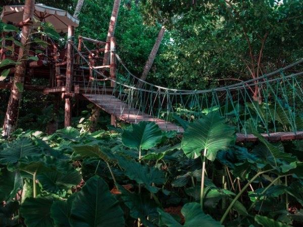 Ecuador and Galapagos luxury vacation