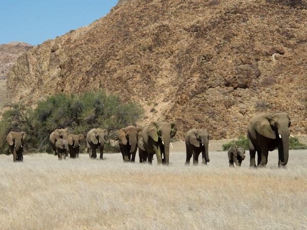 Namibia fly in safari vacation