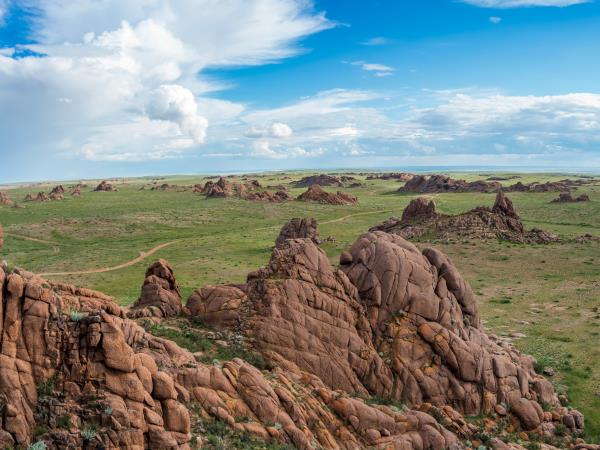Mongolia wildlife vacation
