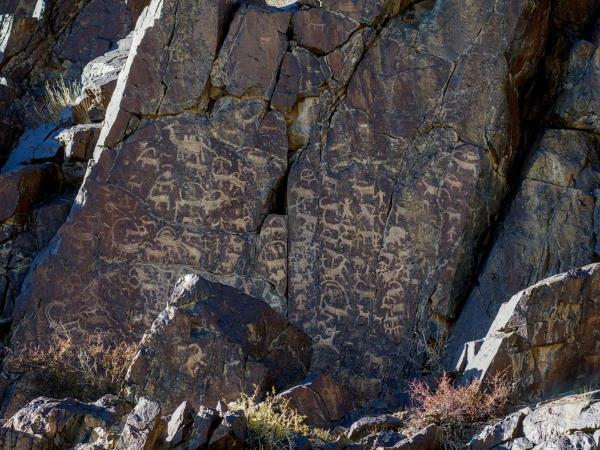 Mongolia Snow Leopard tracking vacation