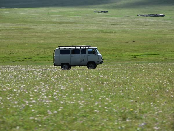 Tsaatan reindeer herding vacation, Mongolia