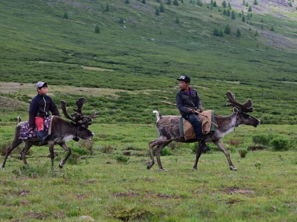 Tsaatan reindeer herding vacation, Mongolia