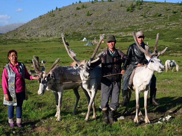Tsaatan reindeer herding vacation, Mongolia