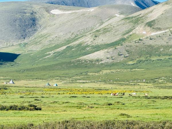 Tsaatan reindeer herding vacation, Mongolia