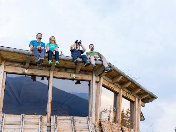 Carpathians wildlife adventure  vacation, Romania