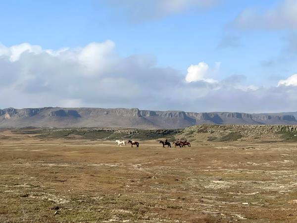 Ethiopia walking and wildlife holiday