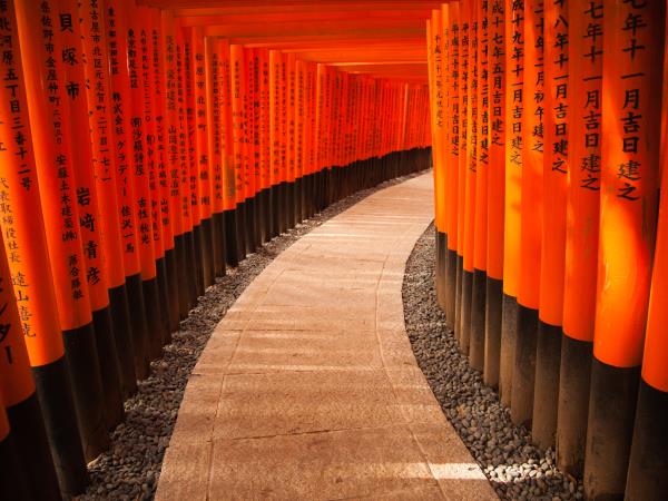 Trip photo