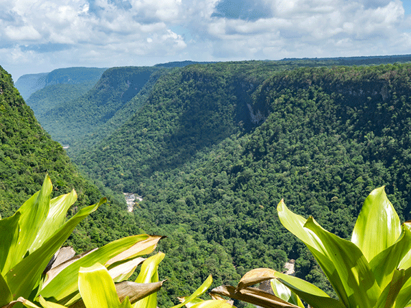 guyana group tour