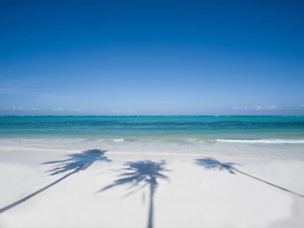 Trip photo