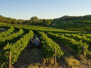 Clare Valley, South Australia. South Australia Tourist Board