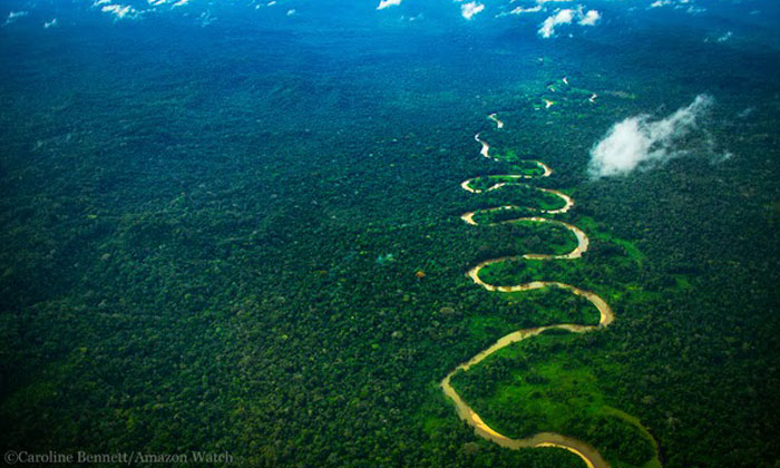 The Amazon
