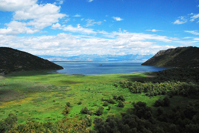 Skadar Lake