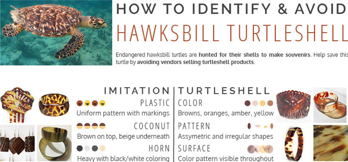 Turtle hatcheries