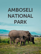 Amboseli National Park vacations Amboseli National Park vacations