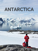Antarctica wildlife guide