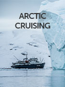 Arctic cruises wildlife guide