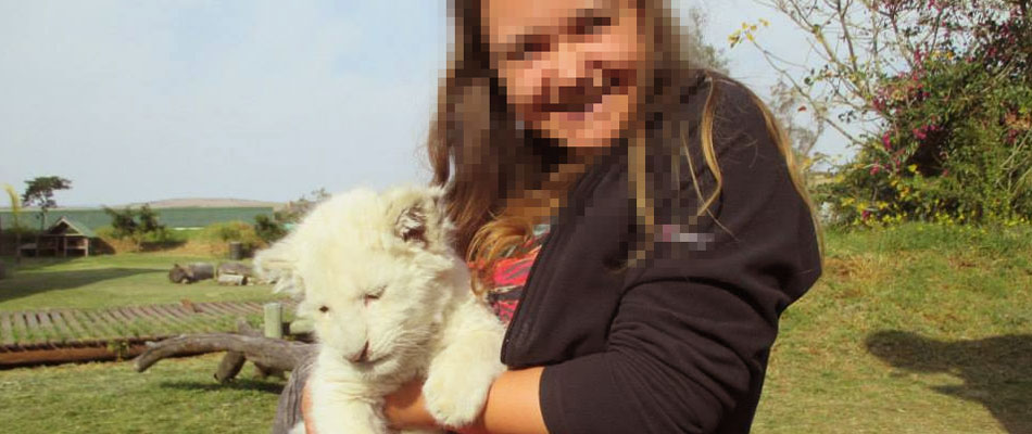 Lion cub cuddling