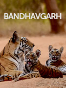 Bandhavgarh Tiger Reserve vacations Bandhavgarh Tiger Reserve vacations