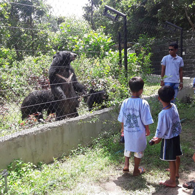 Children meeting the bears