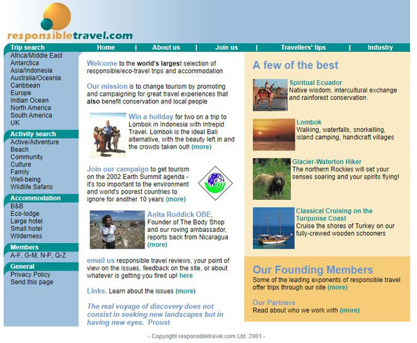 website in 2001
