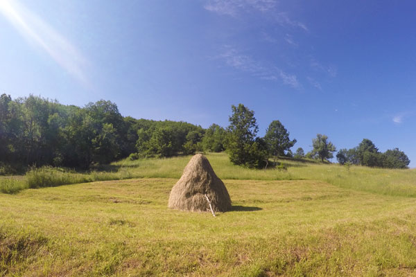 Haystack