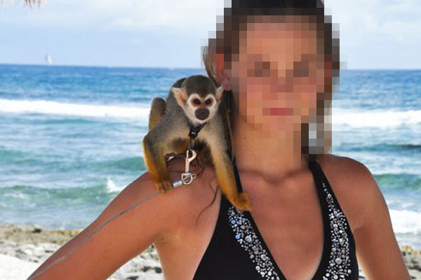 Monkey selfies