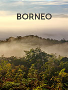 Borneo vacations Borneo vacations