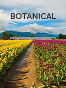 Botanical vacations Botanical vacations