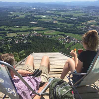 view