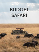 Budget safaris guide