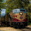 Napa Valley, green train