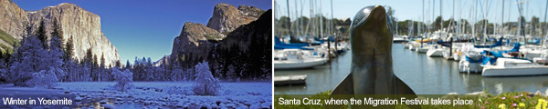 Winter in Yosemite and Santa Cruz