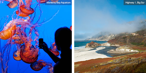 Monterey Bay Aqaurium and Highway 1