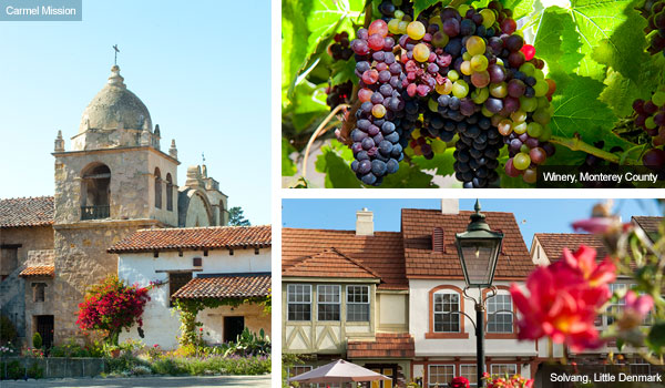 Carmel Mission, grapevines at Monterey and Little Denmark
