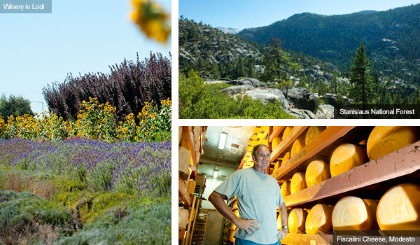 Winery in Lodi, Stanislaus National Forest and Fiscalini Cheese