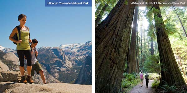 Hikers at Yosemite and walking through Humboldt RedwoodState Park