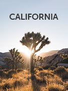 California vacations California vacations