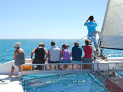 Catamaran cruise at Monkey Mia, Western Australia. Photo by Richard Madden