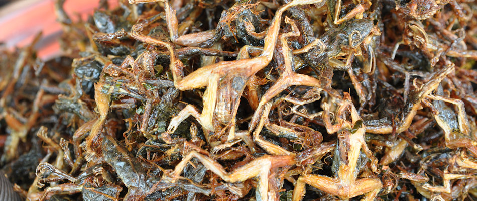Fried frogs (Photo by shankar s.)