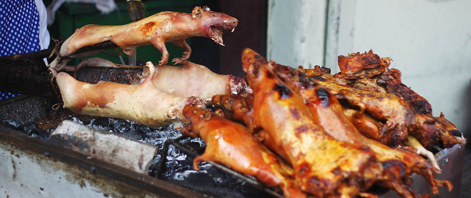 Roasted guinea pig (Photo by Nestor Lacle)
