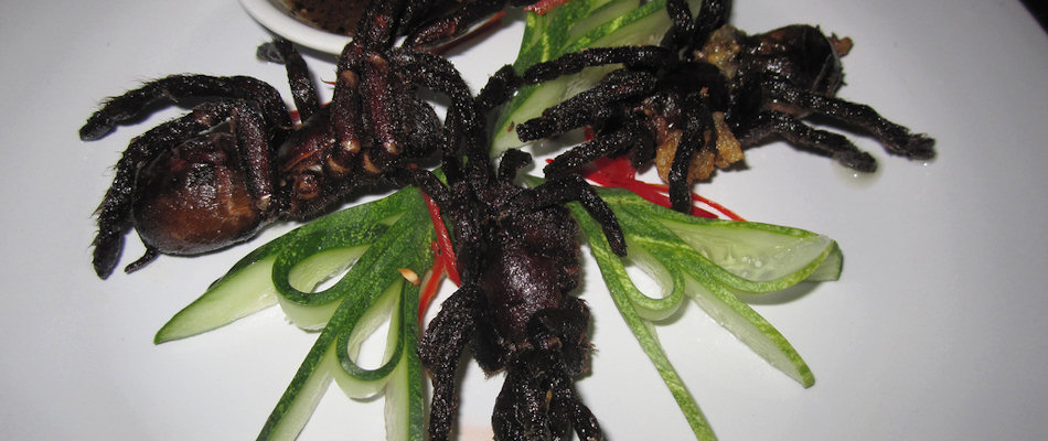 Stir-fried tarantulas (Photo by istolethetv)