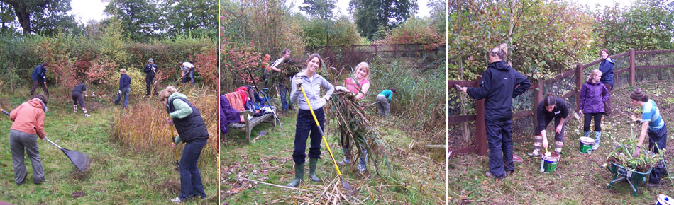 Chestnut Tree House volunteer day