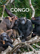 Congo vacations Congo vacations