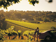 Couple at vineyard, South Australia. Photo by South Australia Tourist Board